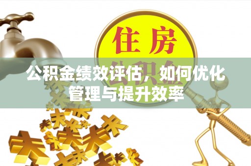 新界公积金绩效评估，如何优化管理与提升效率