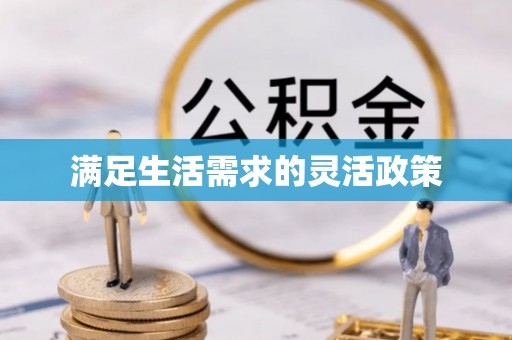 新界满足生活需求的灵活政策