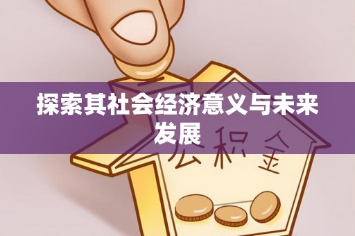 新界探索其社会经济意义与未来发展