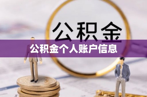 新界公积金个人账户信息