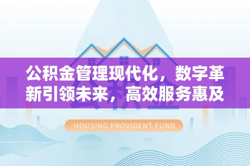 新界公积金管理现代化，数字革新引领未来，高效服务惠及民生