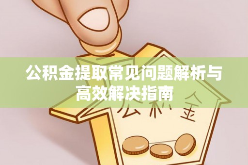 新界公积金提取常见问题解析与高效解决指南