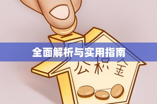 新界全面解析与实用指南