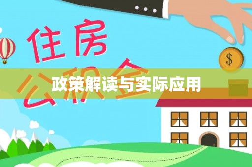 新界政策解读与实际应用
