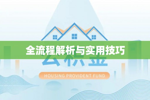 新界全流程解析与实用技巧