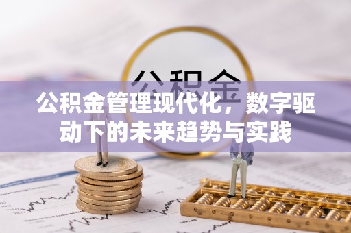 新界公积金管理现代化，数字驱动下的未来趋势与实践