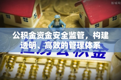 新界公积金资金安全监管，构建透明、高效的管理体系