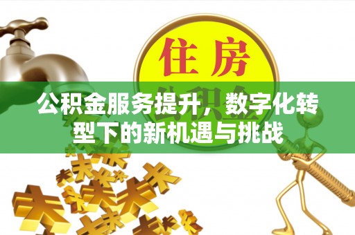 新界公积金服务提升，数字化转型下的新机遇与挑战