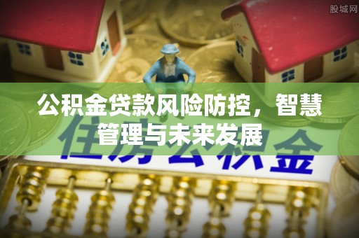 新界公积金贷款风险防控，智慧管理与未来发展