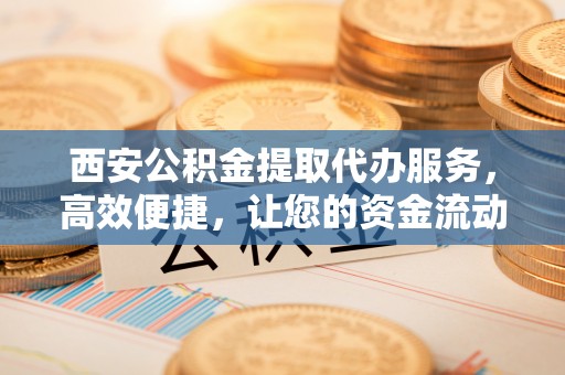 新界西安公积金提取代办服务，高效便捷，让您的资金流动更灵活