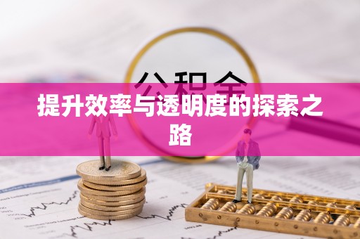 新界提升效率与透明度的探索之路