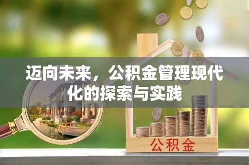 新界迈向未来，公积金管理现代化的探索与实践
