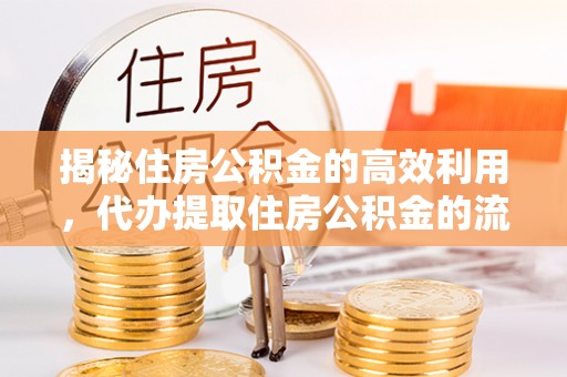 新界揭秘住房公积金的高效利用，代办提取住房公积金的流程与技巧