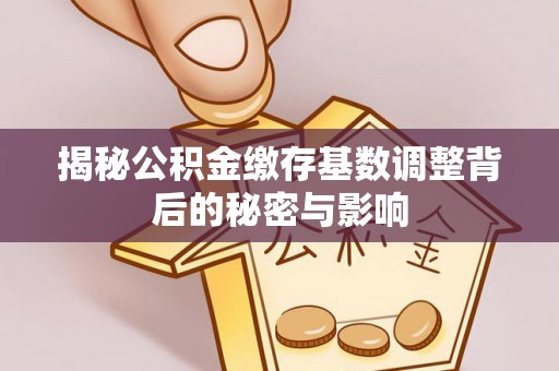 新界揭秘公积金缴存基数调整背后的秘密与影响