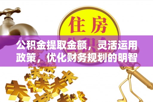 新界公积金提取金额，灵活运用政策，优化财务规划的明智选择