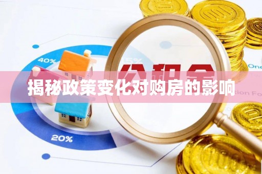 新界揭秘政策变化对购房的影响