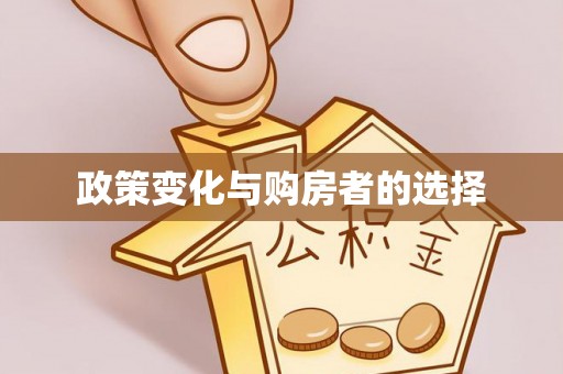 新界政策变化与购房者的选择