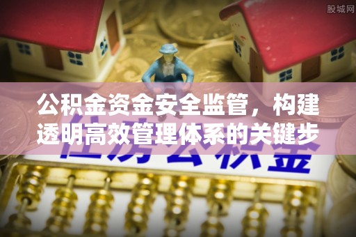 新界公积金资金安全监管，构建透明高效管理体系的关键步骤
