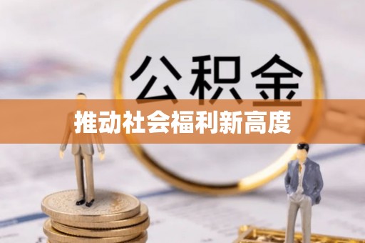 新界推动社会福利新高度