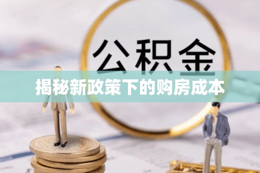 新界揭秘新政策下的购房成本
