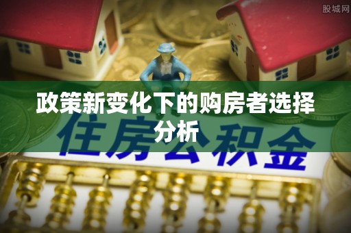 新界政策新变化下的购房者选择分析