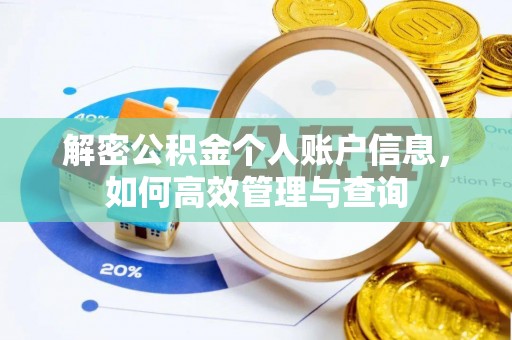 新界解密公积金个人账户信息，如何高效管理与查询