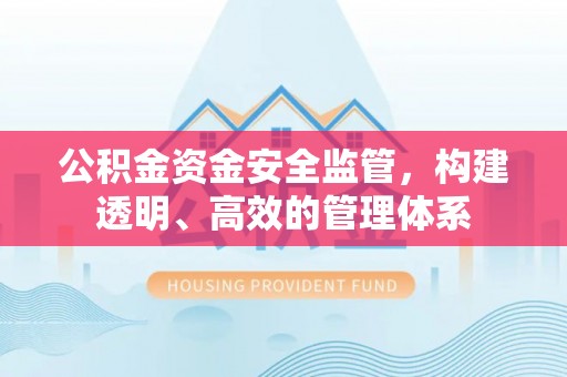 新界公积金资金安全监管，构建透明、高效的管理体系