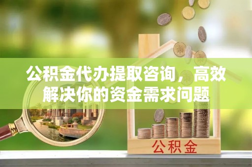 新界公积金代办提取咨询，高效解决你的资金需求问题