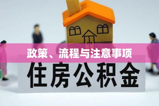 新界政策、流程与注意事项