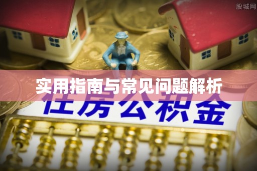 新界实用指南与常见问题解析