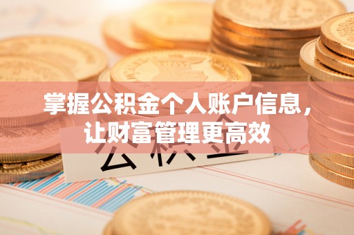 新界掌握公积金个人账户信息，让财富管理更高效