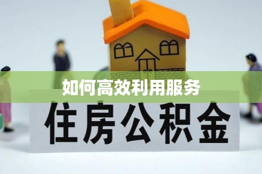 新界如何高效利用服务