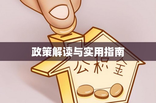 新界政策解读与实用指南