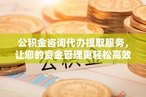 新界公积金咨询代办提取服务，让您的资金管理更轻松高效