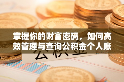 新界掌握你的财富密码，如何高效管理与查询公积金个人账户信息