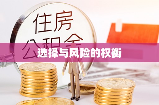 新界选择与风险的权衡