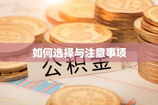 新界如何选择与注意事项