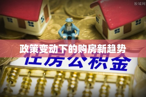 新界政策变动下的购房新趋势