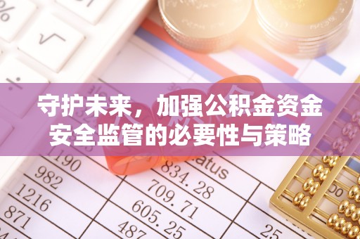 新界守护未来，加强公积金资金安全监管的必要性与策略