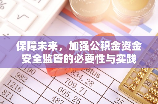 新界保障未来，加强公积金资金安全监管的必要性与实践