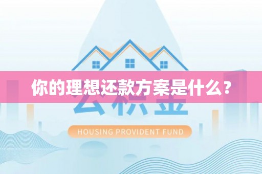 新界你的理想还款方案是什么？