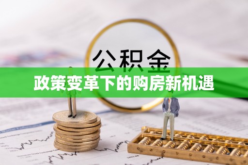 新界政策变革下的购房新机遇