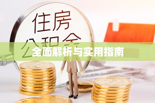 新界全面解析与实用指南