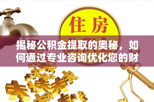 新界揭秘公积金提取的奥秘，如何通过专业咨询优化您的财务规划