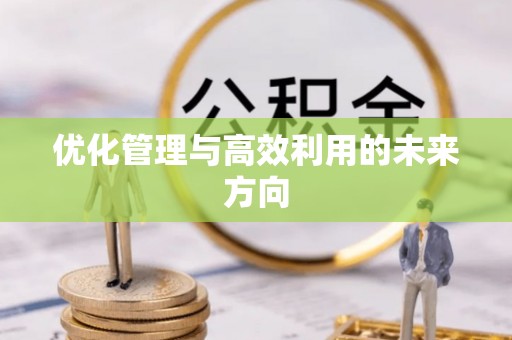 新界优化管理与高效利用的未来方向