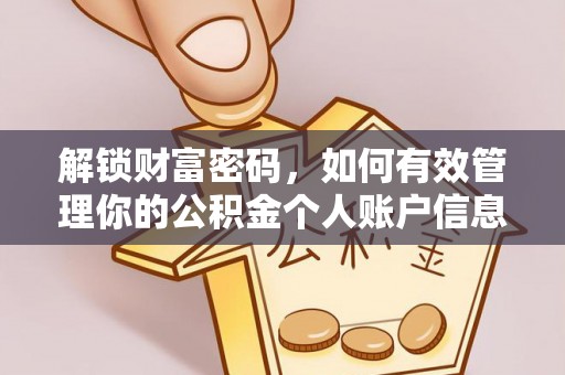 新界解锁财富密码，如何有效管理你的公积金个人账户信息