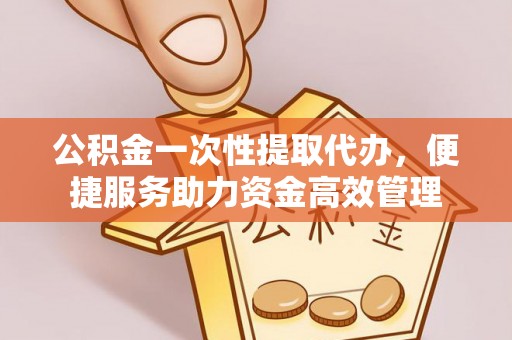 新界公积金一次性提取代办，便捷服务助力资金高效管理