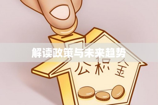 新界解读政策与未来趋势