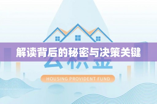 新界解读背后的秘密与决策关键