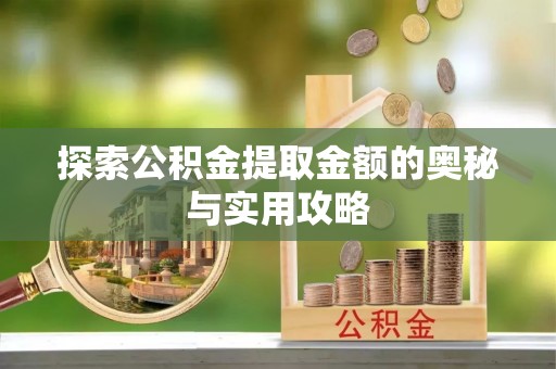 新界探索公积金提取金额的奥秘与实用攻略